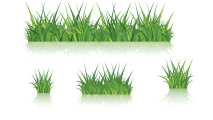 Realistic Green Grass Illustration Set with Different Clumps and Borders