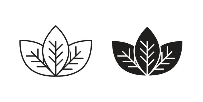 Tea leaves icon. Symbol, logo illustration. graphic icon set