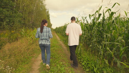 Taking a leisurely walk through a vast and picturesque corn field, surrounded by nature