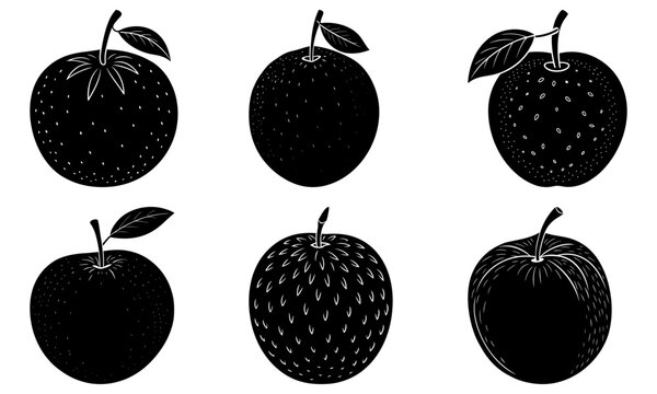 Fresh fruit selection, orchard harvest bounty, crisp apples and oranges, healthy eating options, perfect for nutrition guides and farmers market promotions