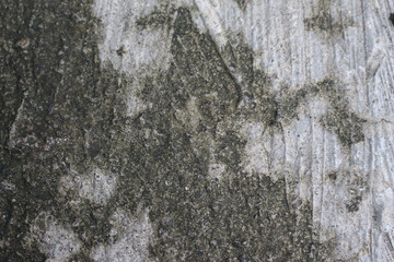Mossy Concrete Texture Background
