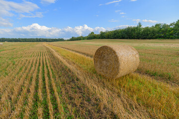 Obraz premium A beautiful golden bale sits prominently on an agricultural field beneath a clear blue sky