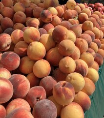 Fresh Peaches at the Market