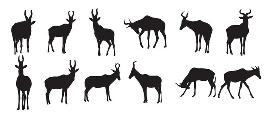 hartebeest silhouette set  © Alaskav
