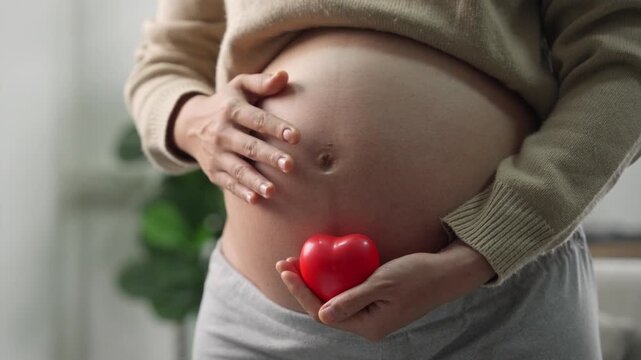 Happy pregnant woman or mother touching baby in belly and hold red heart with love at home. Health care, Prenatal preparation, Maternity, Pregnancy, and motherhood concept