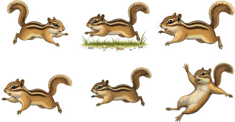 Playful cartoon chipmunk running, jumping, and posing in various energetic actions, cute woodland animal illustration set for wildlife, nature, and animation themes