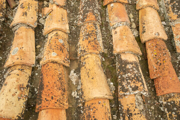 Rooftop view of weathered terracotta tiles in a rustic setting during daylight
