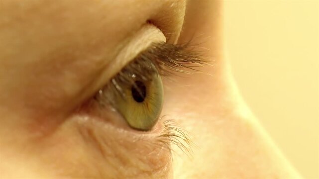 Extreme Close-up: Hazel Eye Iris and Pupil, Side View