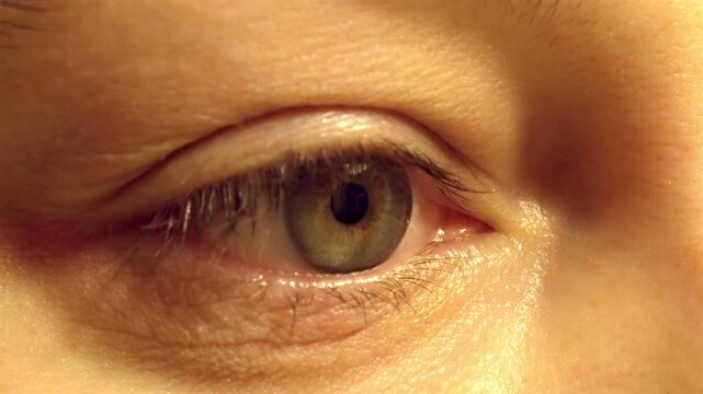 Extreme Close-Up Hazel Eye with Contact Lens &ndash; 4K Macro