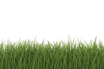 Fototapeta premium Fresh green grass field edge with copy space on white background