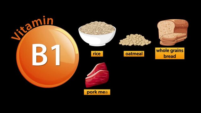 Vitamin B1 Thiamine Sources Animation With Food Illustrations