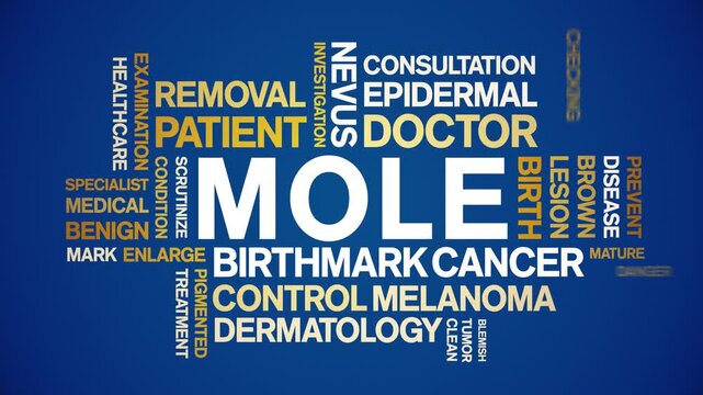 Mole animated word cloud-text design animation tag kinetic typography seamless loop.