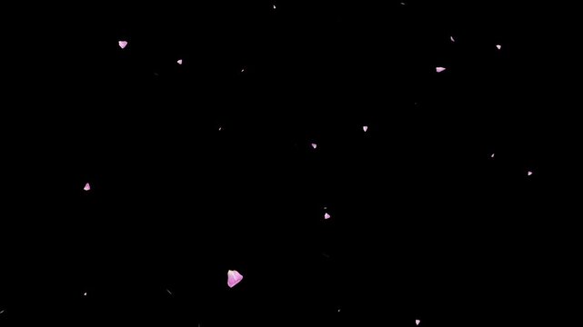 Sakura petals falling animation on black screen with pink petals overlay, cherry petals 4K, autumn leaves falling background and orange leaves flutter down