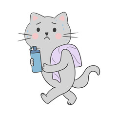 Cute gray cat after workout with towel and water bottle