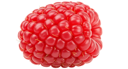 A single ripe red raspberry fruit isolated on a transparent background, vibrant color, intricate natural texture, ultra realistic detail, high resolution PNG.