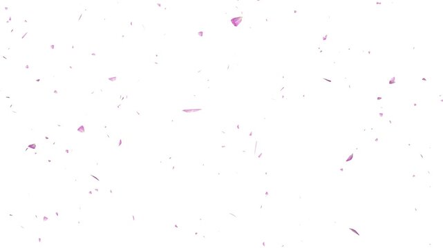 Cherry petals falling overlay with sakura petals falling 4K, pink petals animation white background, autumn leaves flutter down fall season and orange leaves falling - Powered by Adobe