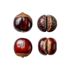 Four buckeyes on a black background