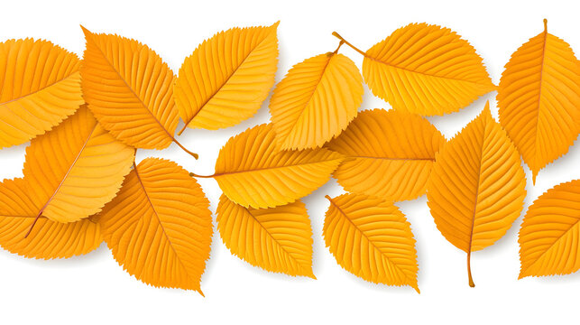 Autumn leaves evoke a feeling of both sadness and beauty, representing continuous cycle of life, development,