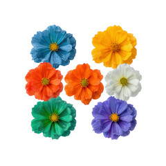 Colorful Cosmos Flowers on Black Background