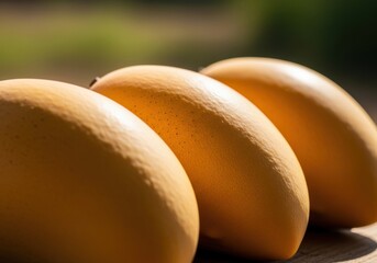 Three ripe mangoes in a row outdoors with a blurred green background delicious tropical fruit closeup