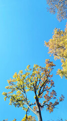 日本の風景・四季・紅葉／行楽日和・風景・自然／八百万の神々／光・空／Japanese landscapes, four seasons, autumn leaves / Perfect weather for outings, scenery, nature / Eight million gods / Light, sky