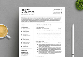 Executive Resume CV Template