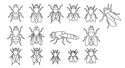 Colorful fly insect vector illustration set graphic resource