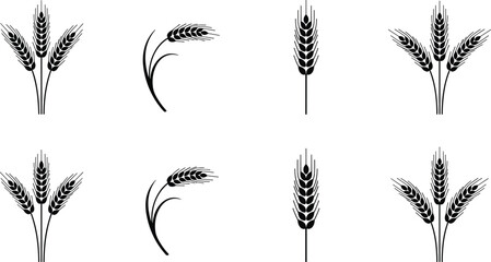 Set of black silhouette wheat ears and sheaves representing farming, agriculture, harvest, bakery, flour, grain, and cereal crops.