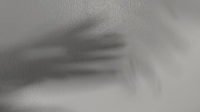 Abstract motion background featuring the organic shadow of a palm frond dancing across a textured, light gray surface. The slow, smooth movement and monochromatic tones provide a modern, peaceful