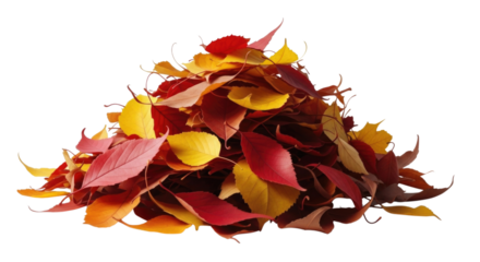 Pile of autumn leaves transparent background cutout png