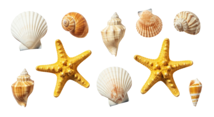 Collection of seashells and starfish transparent background cutout png