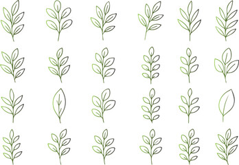 Collection of twenty hand drawn botanical line art illustrations featuring various delicate leaf sprigs and single leaves, perfect for natural design elements