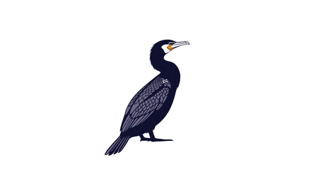 Detailed illustration of a great cormorant a large black seabird standing and looking aside isolated on a white background.