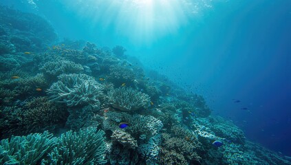 Fototapeta premium Coral reef underwater scene highlighting biodiversity, emphasizing ecological preservation awareness