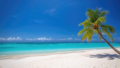 Tropical beach scene with white sand and coconut palms, ideal for outdoor travel backgrounds, summer holiday awareness