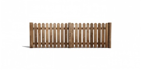 Inca tern bird sitting on a branch, highlighting natural perch and avian behavior