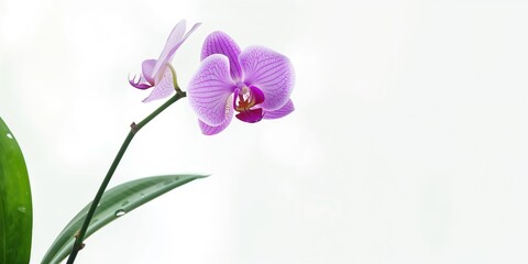 Touch screen interface with vibrant icons used for digital navigation, suitable for UI design background purposes