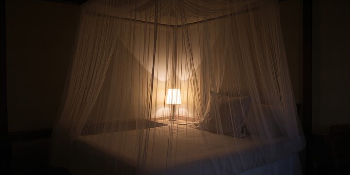 Mosquito net draped over a single bed in a hotel room at night for insect protection, nighttime safety
