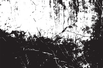 Weathered Cracked Stone Texture Surface