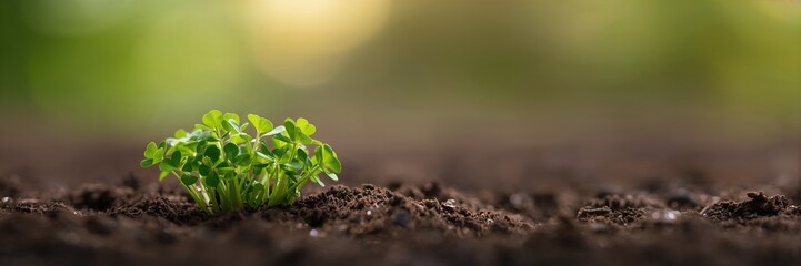 Blue sky and clouds as a serene natural background for text and layout, emphasizing atmospheric conditions