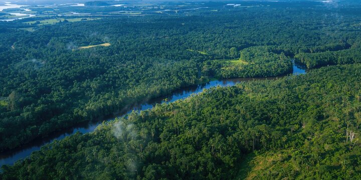 Apple cider vinegar stored in a jar with fresh apples on a table, emphasizing healthy fermentation practices