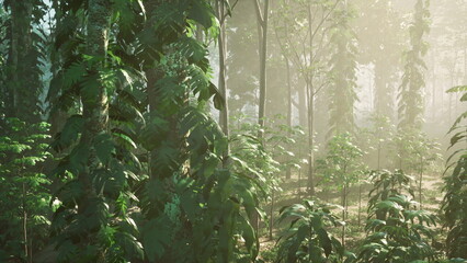 Fototapeta premium Sunlight filters softly through dense foliage, casting a warm glow over the vibrant green plants. A peaceful moment in a serene forest, capturing natures beauty and tranquility.