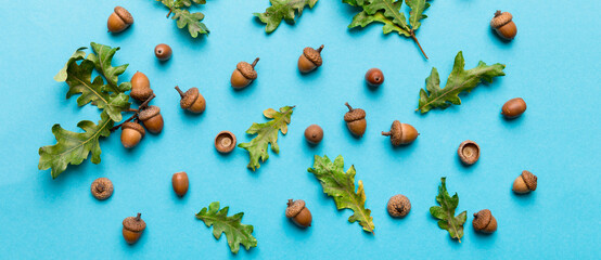 Branch with green oak tree leaves and acorns on colored background, close up top view