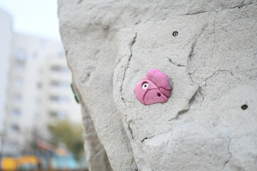 Mur d'escalade prises climbing holds