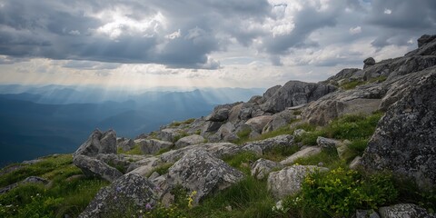 Obraz premium Rocks on a hillside in a mountain landscape during summer, emphasizing erosion risk on a cloudy day