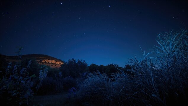 Bright summer sky, ideal backdrop for outdoor events and gatherings