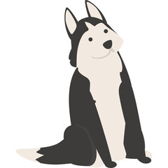 A Cute Black and White Husky Dog Sitting with a Curiously Tilted Head Against a Transparent Background