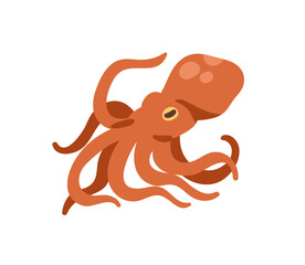 Octopus with tentacles. Exotic marine underwater animal. Seafood delicacy. Sea food, fresh undersea ocean cephalopod. Tropical wild fauna. Flat vector illustration isolated on white background
