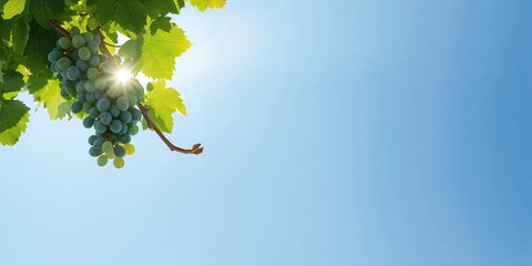 Naklejka premium Fabric texture with delicate striped pattern used as a background for layout design, emphasizing visual clarity and organization