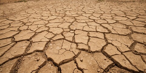 Positive pregnancy test with a girl and family, health monitoring as a medical background, family planning, World Pregnancy Day